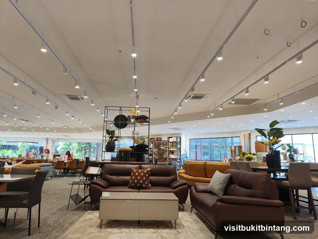 Furniture Store Interior
