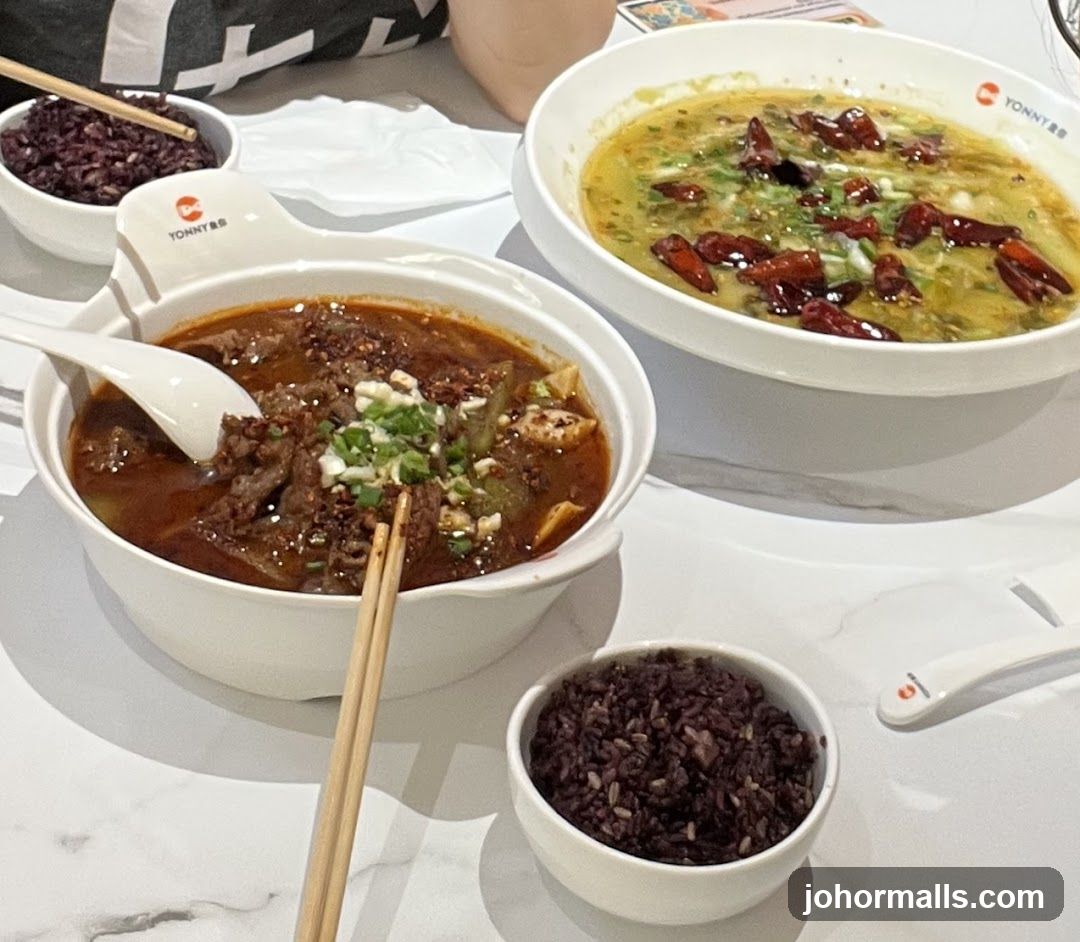 Spicy Beef Stew and Fish Dish with Rice