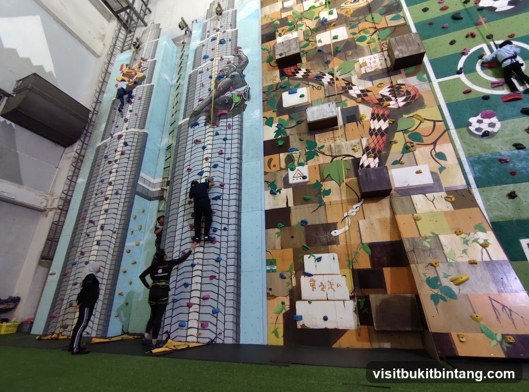 Indoor Climbing Walls