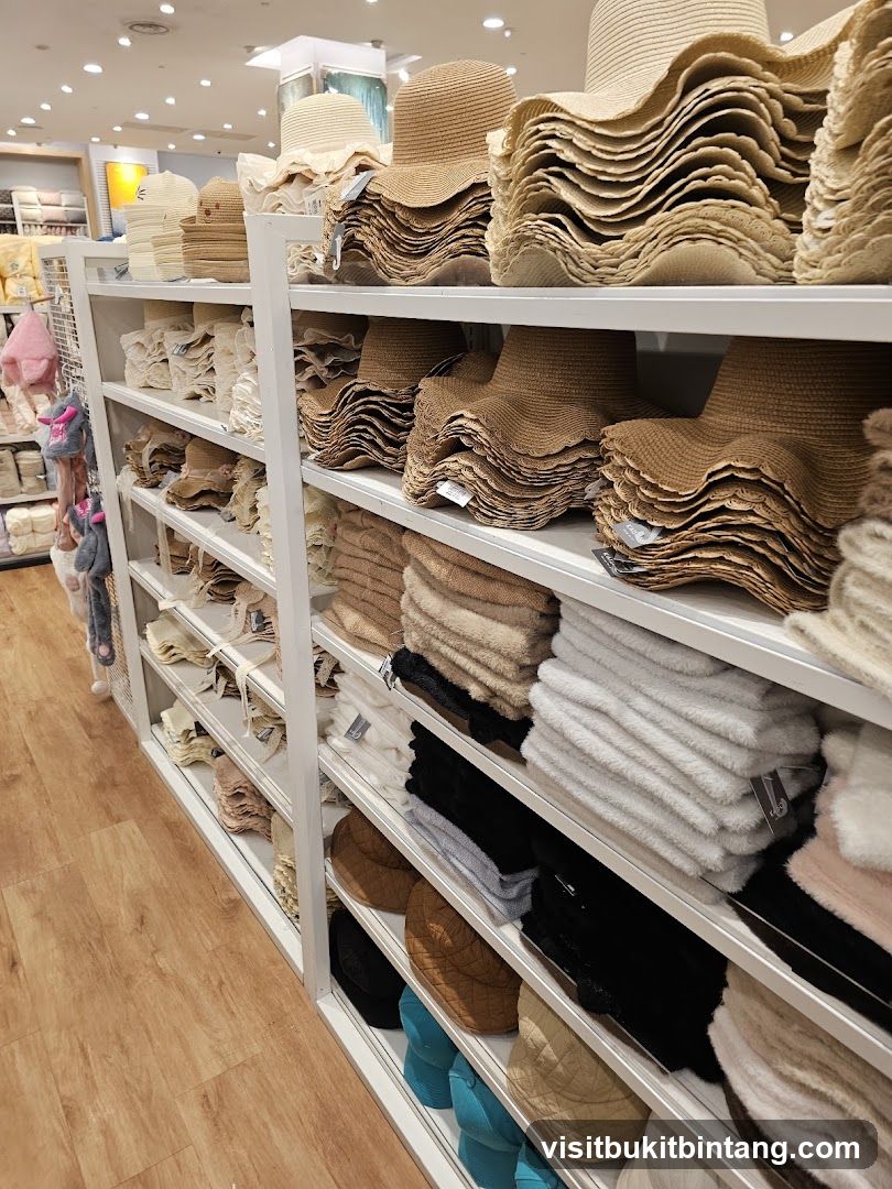Hats and other accessories on display shelves