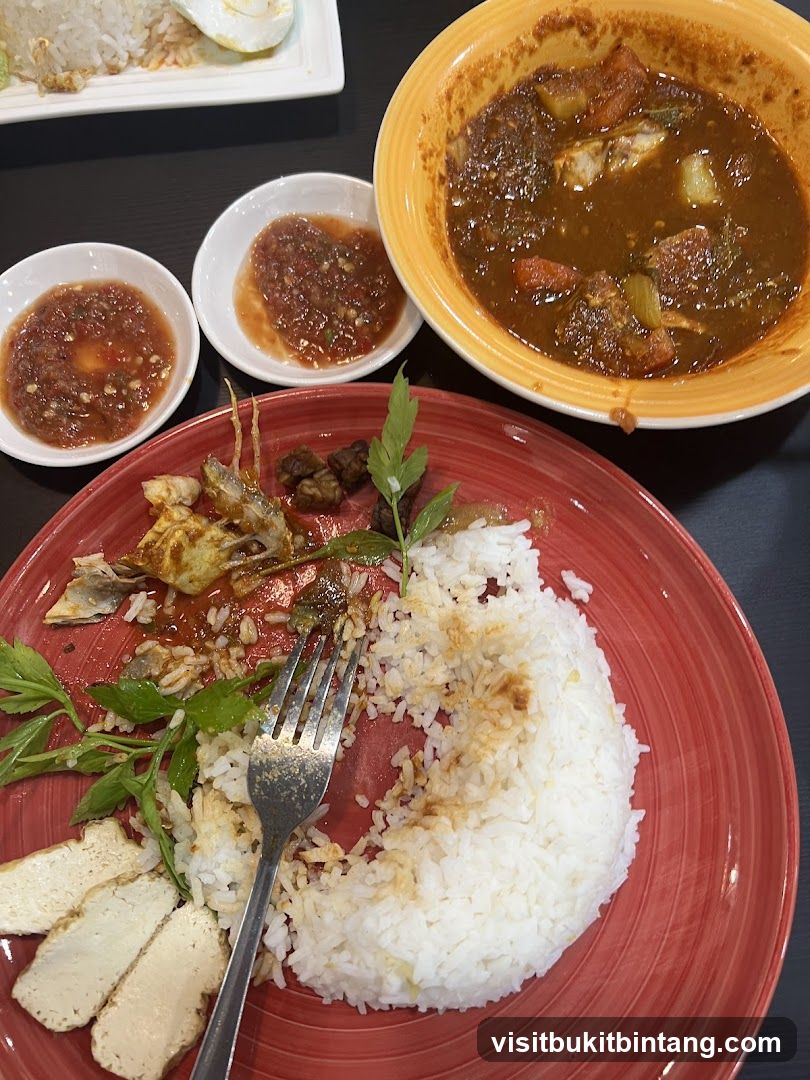 Meal with Rice and Curry