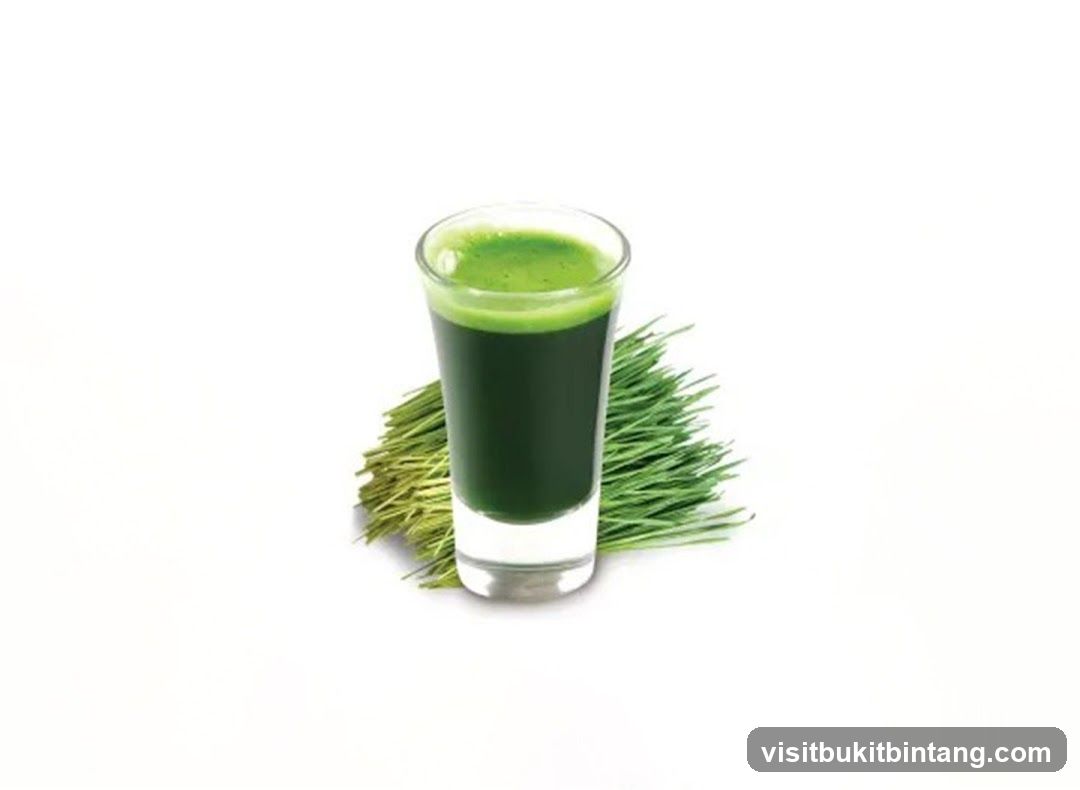 Wheatgrass Shot