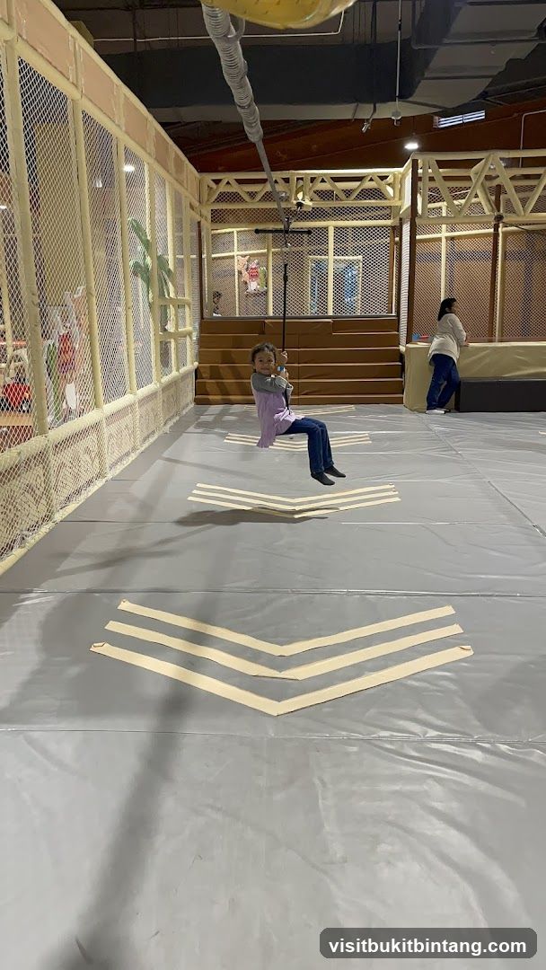 Indoor Playground Zip Line