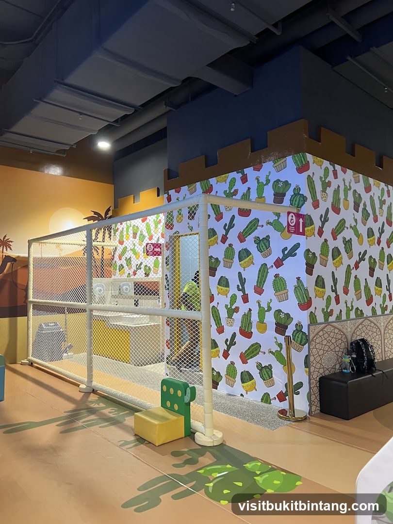 Indoor Play Area with Cactus Theme