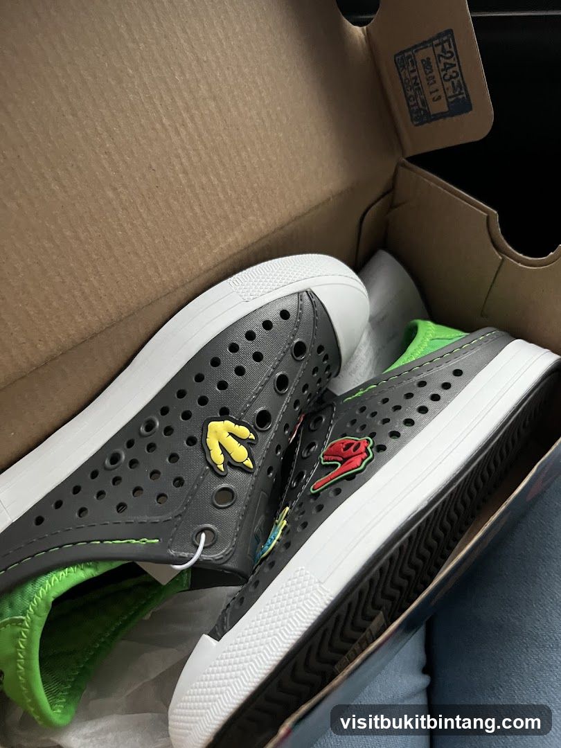 Dinosaur-themed shoes in a box