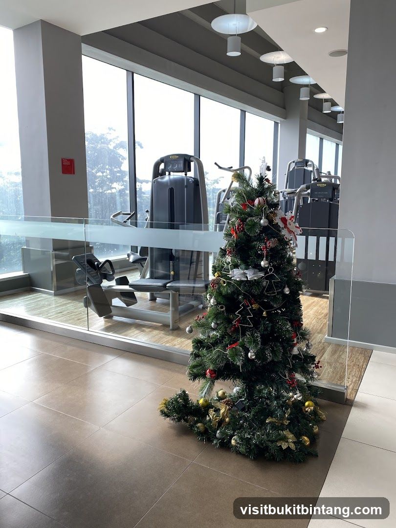 Gym with Christmas Tree