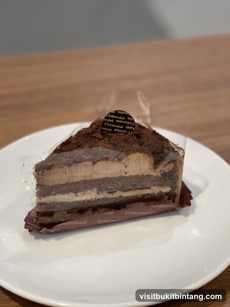 Chocolate Cake Slice