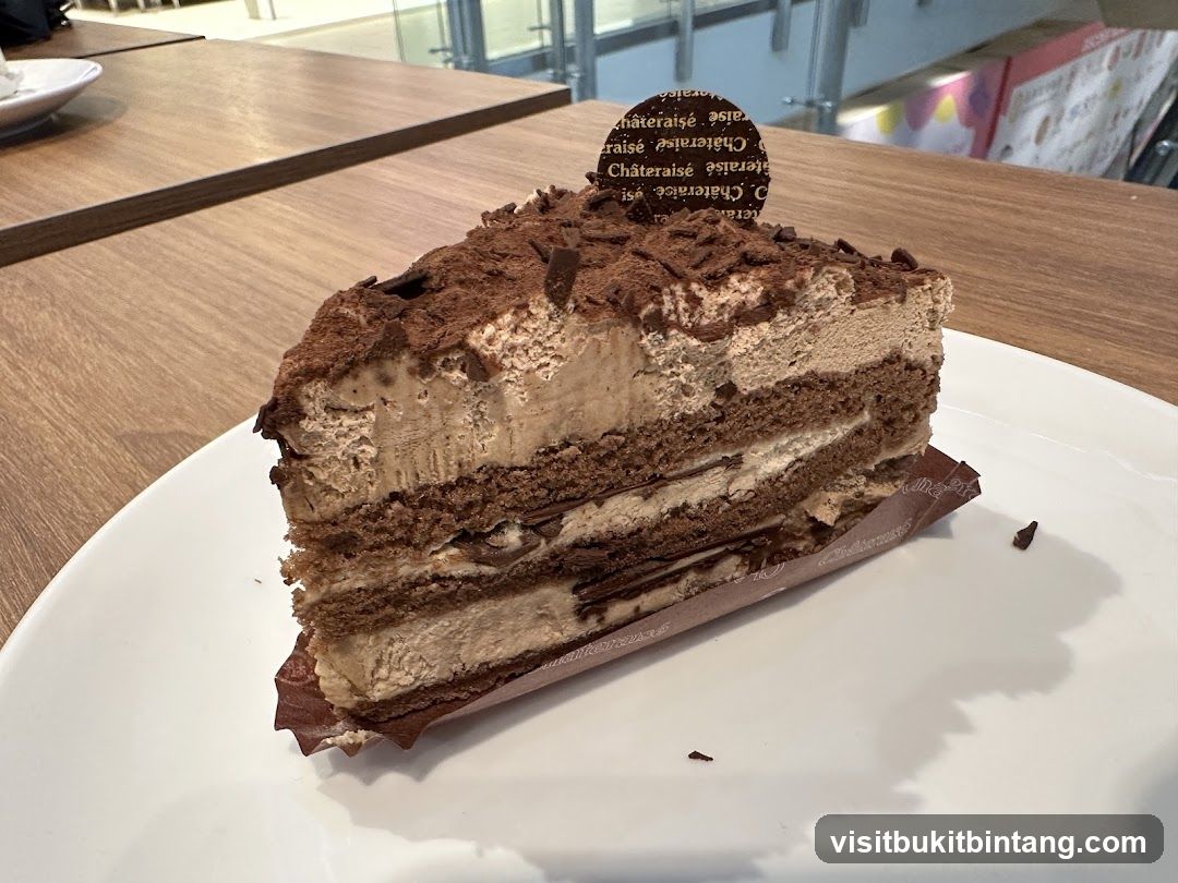 Chocolate Layer Cake Slice