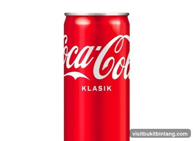 Coca-Cola Can