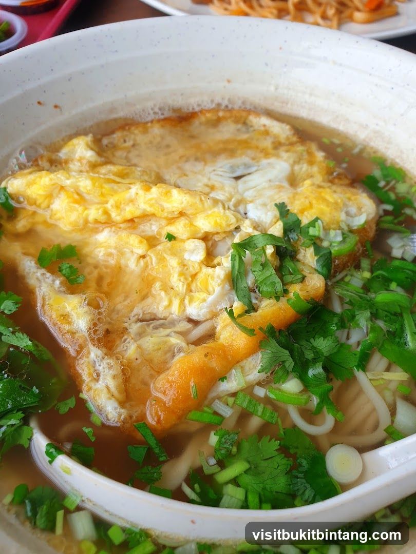 Noodle Soup with Omelet