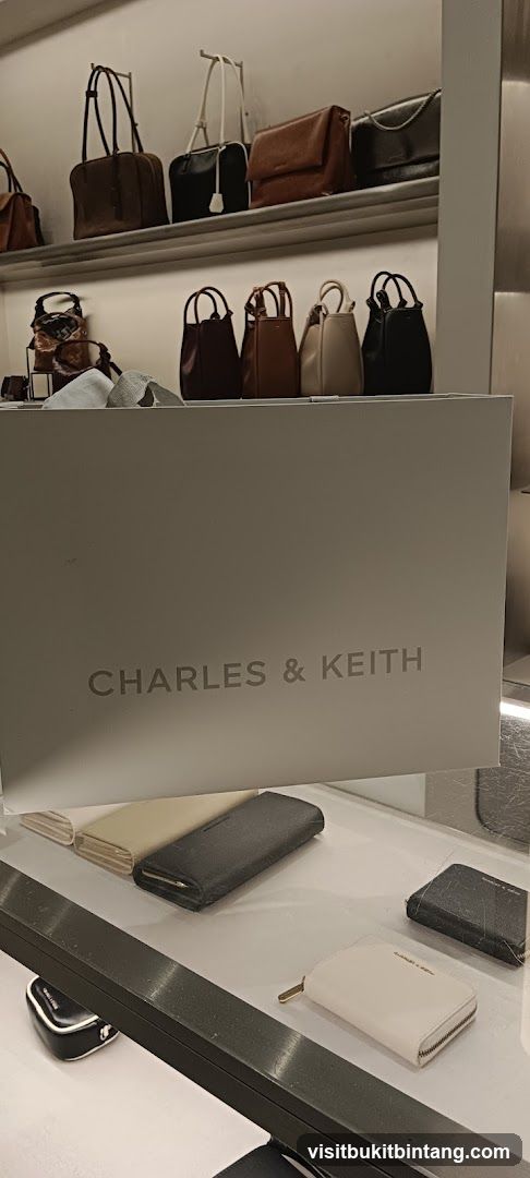 Charles & Keith Store Display