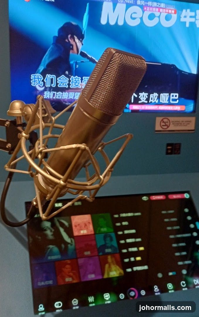Karaoke Microphone and Screen