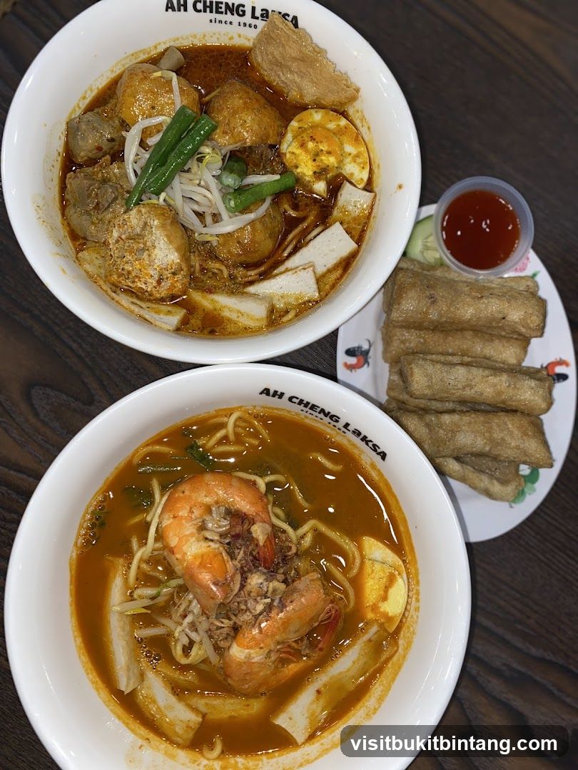 Laksa and Fried Fish Cakes