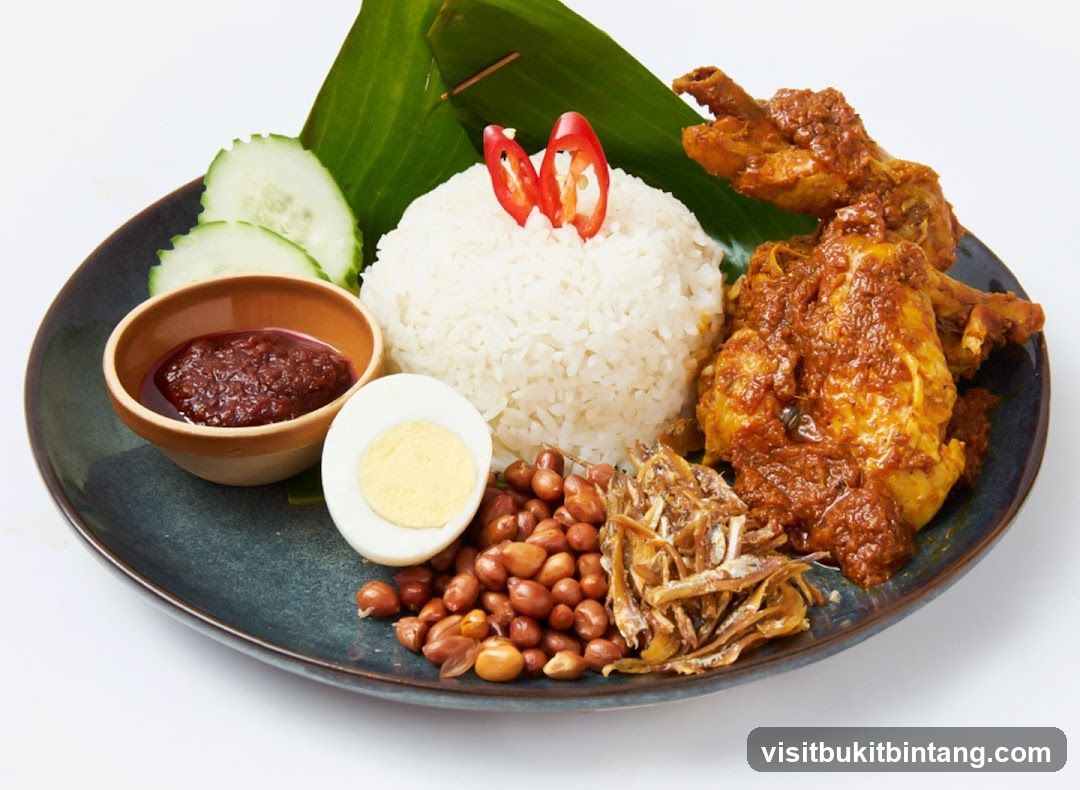 Nasi Lemak