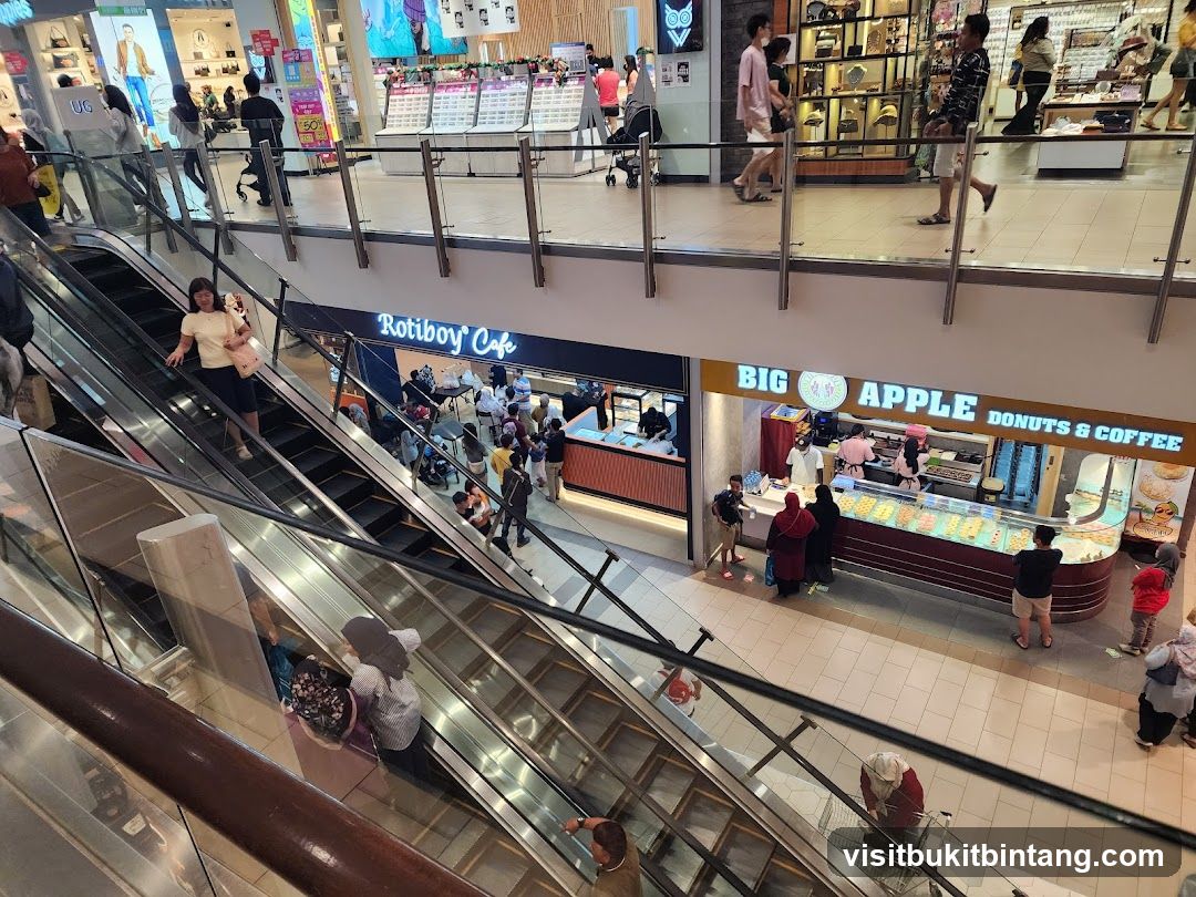 Mall Interior with Escalators and Shops