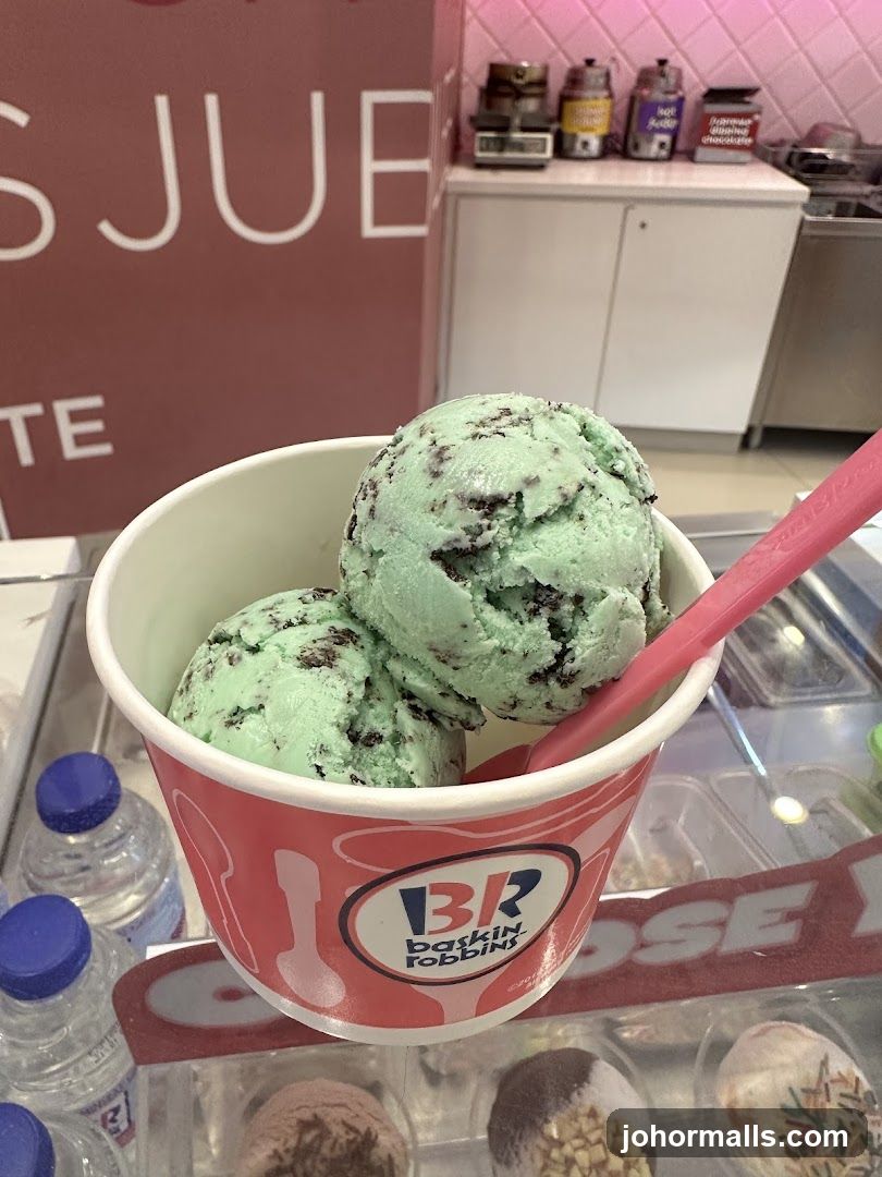 Mint Chocolate Chip Ice Cream
