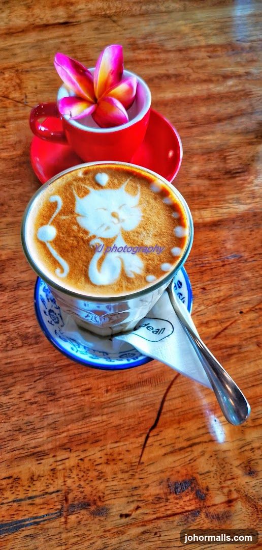 Latte art with a cat design