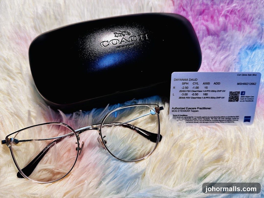Eyeglasses and Case
