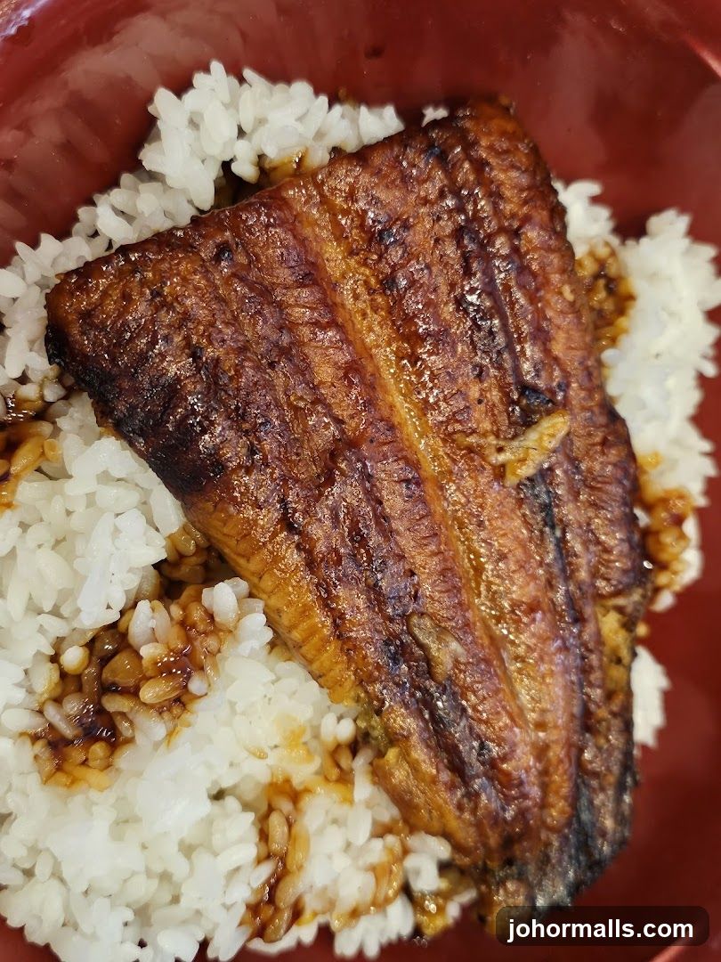 Unagi Don