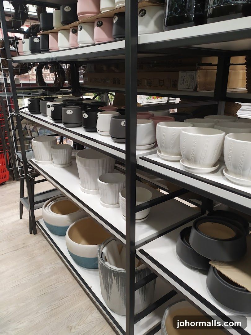 Shelves of ceramic pots