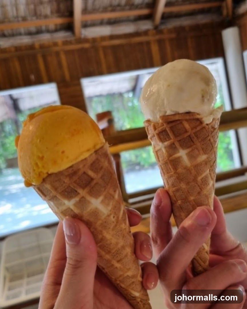 Two Ice Cream Cones