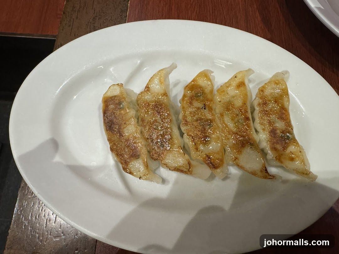 Pan-fried dumplings