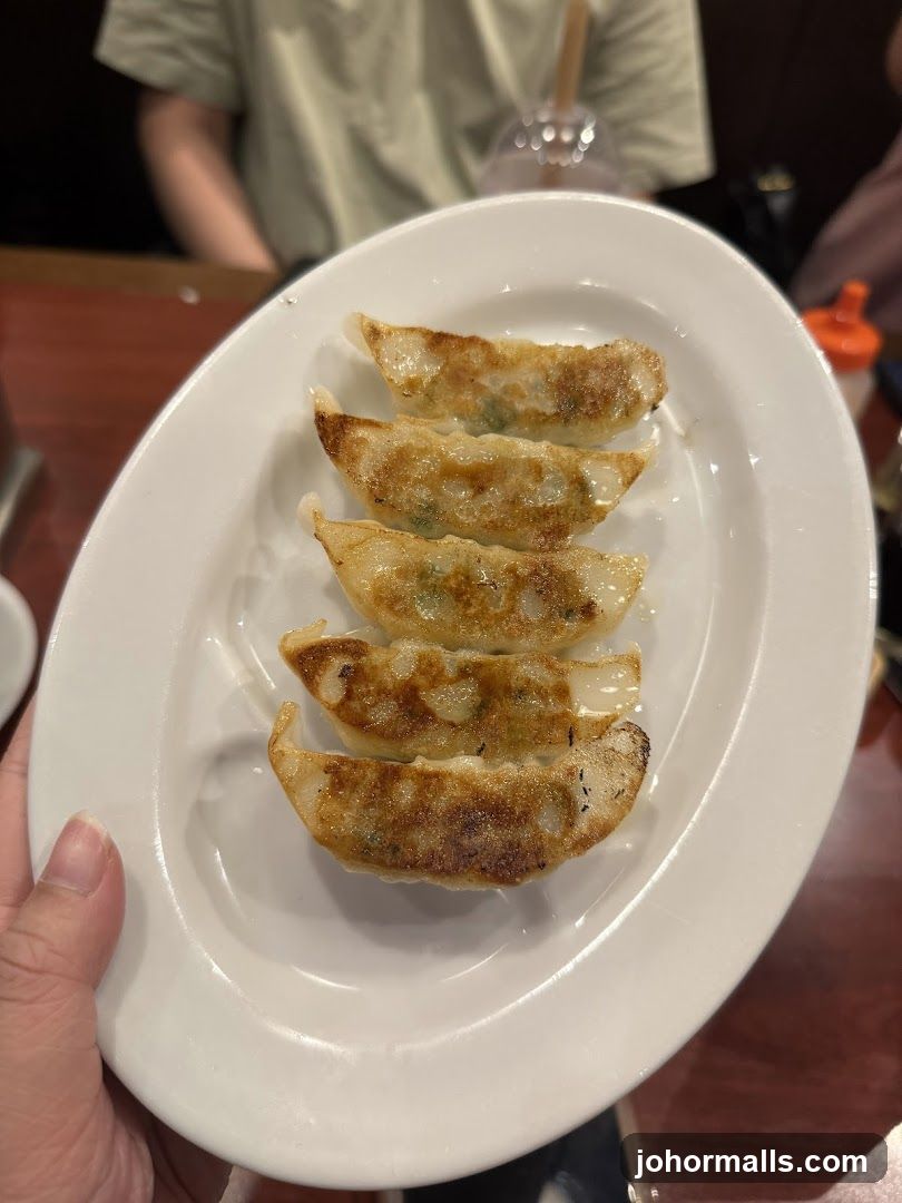 Gyoza on a Plate