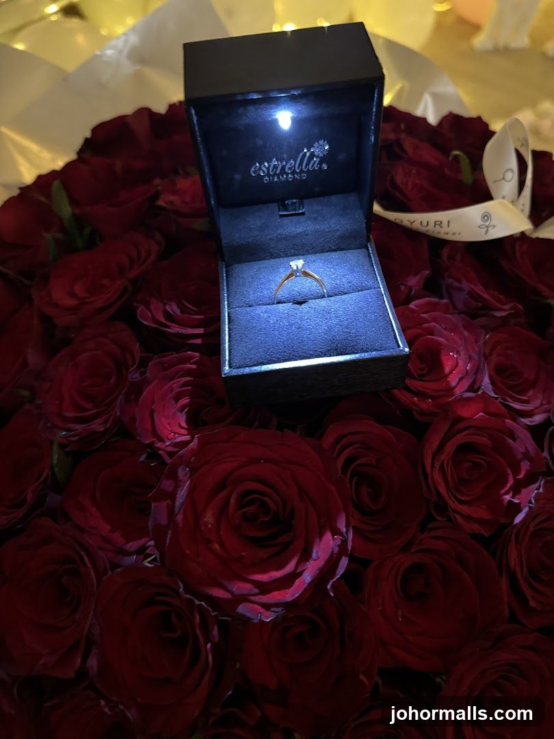 Engagement Ring Presentation