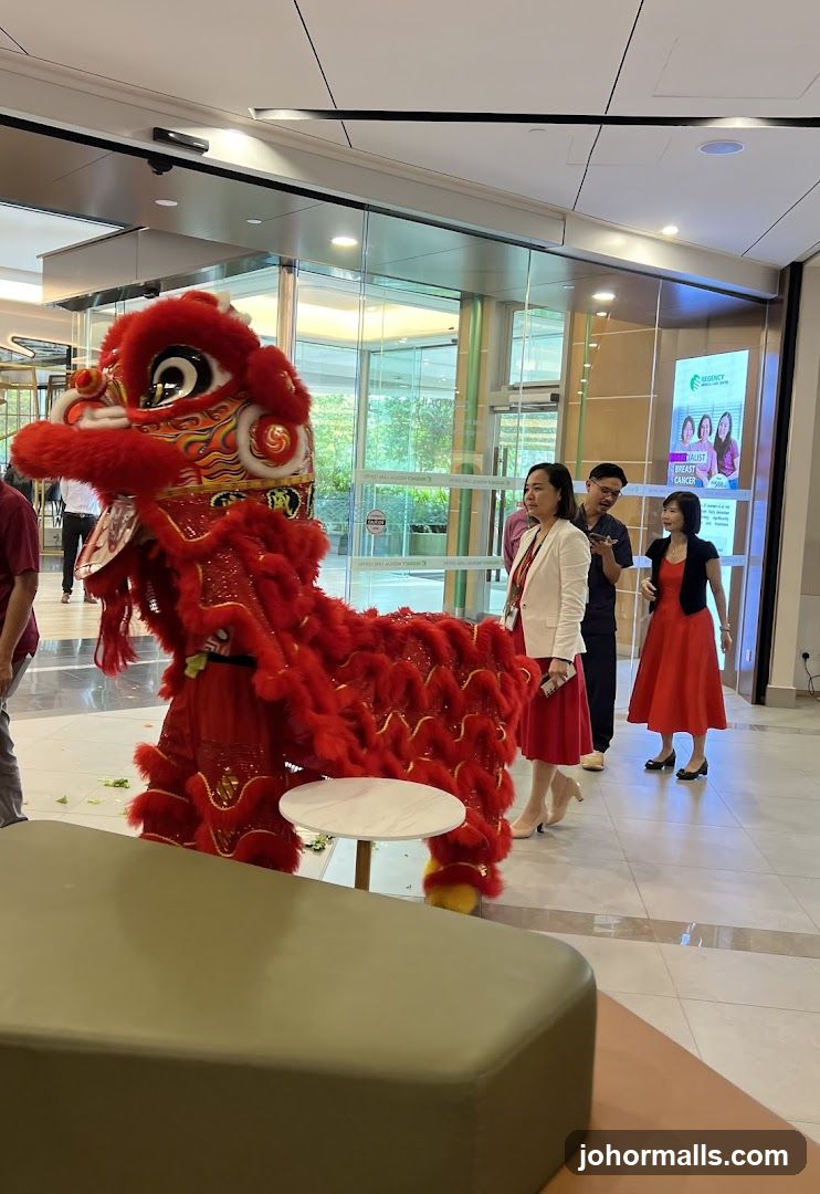 Lion Dance Performance in Indoor Space