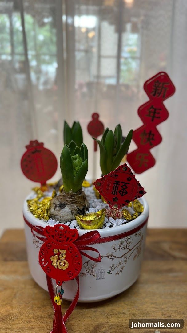 Potted Hyacinths with Chinese New Year Decorations