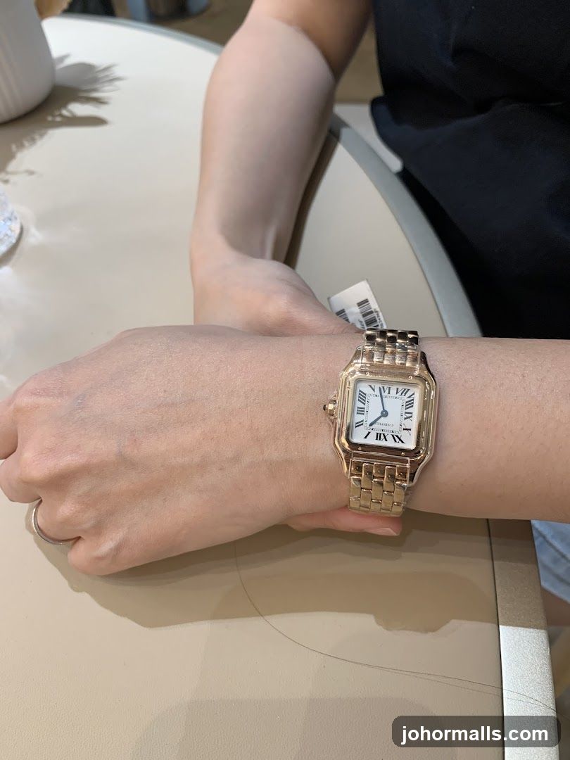 Person wearing luxury watch