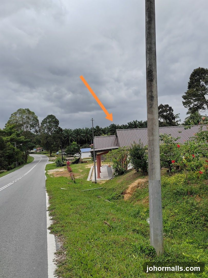 Rural roadside with building and palm trees