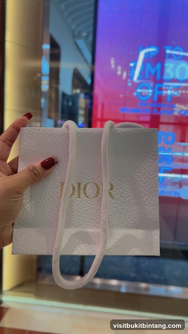 Dior Shopping Bag