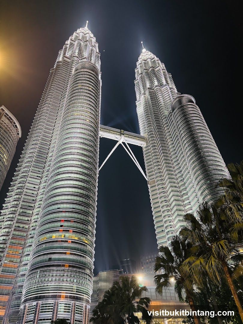 Petronas Towers at Night