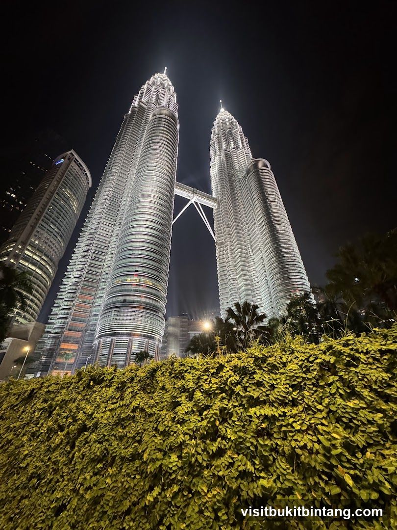 Petronas Towers at Night