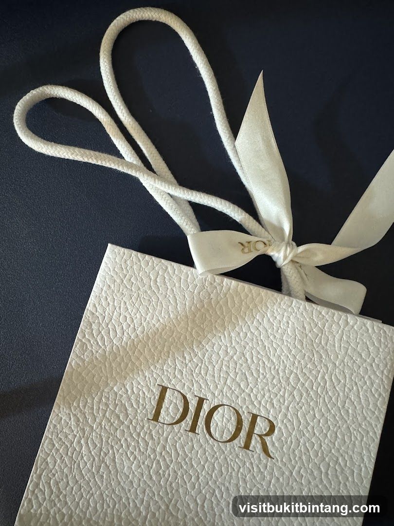Dior Shopping Bag