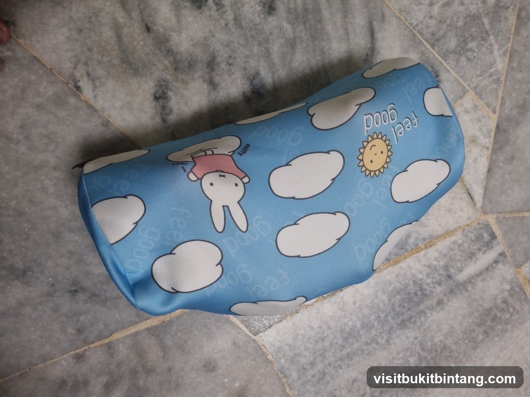 Pencil Case with Miffy and Clouds