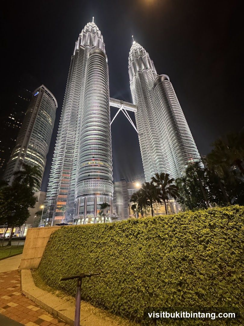 Petronas Towers at Night