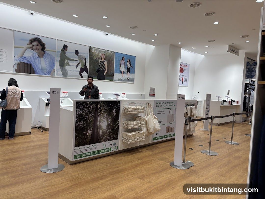 Store Interior with Checkout Counters