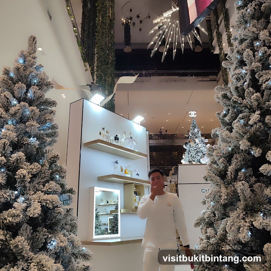 Chanel Holiday Display