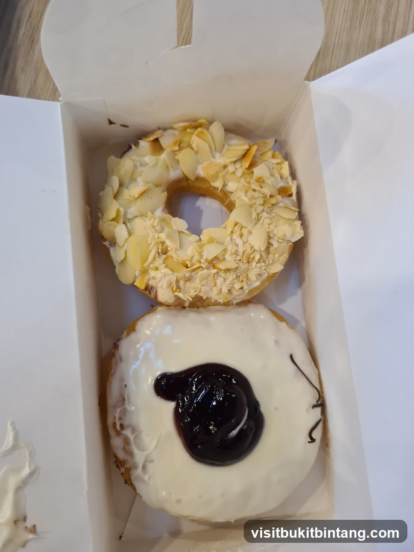 Two donuts in a box