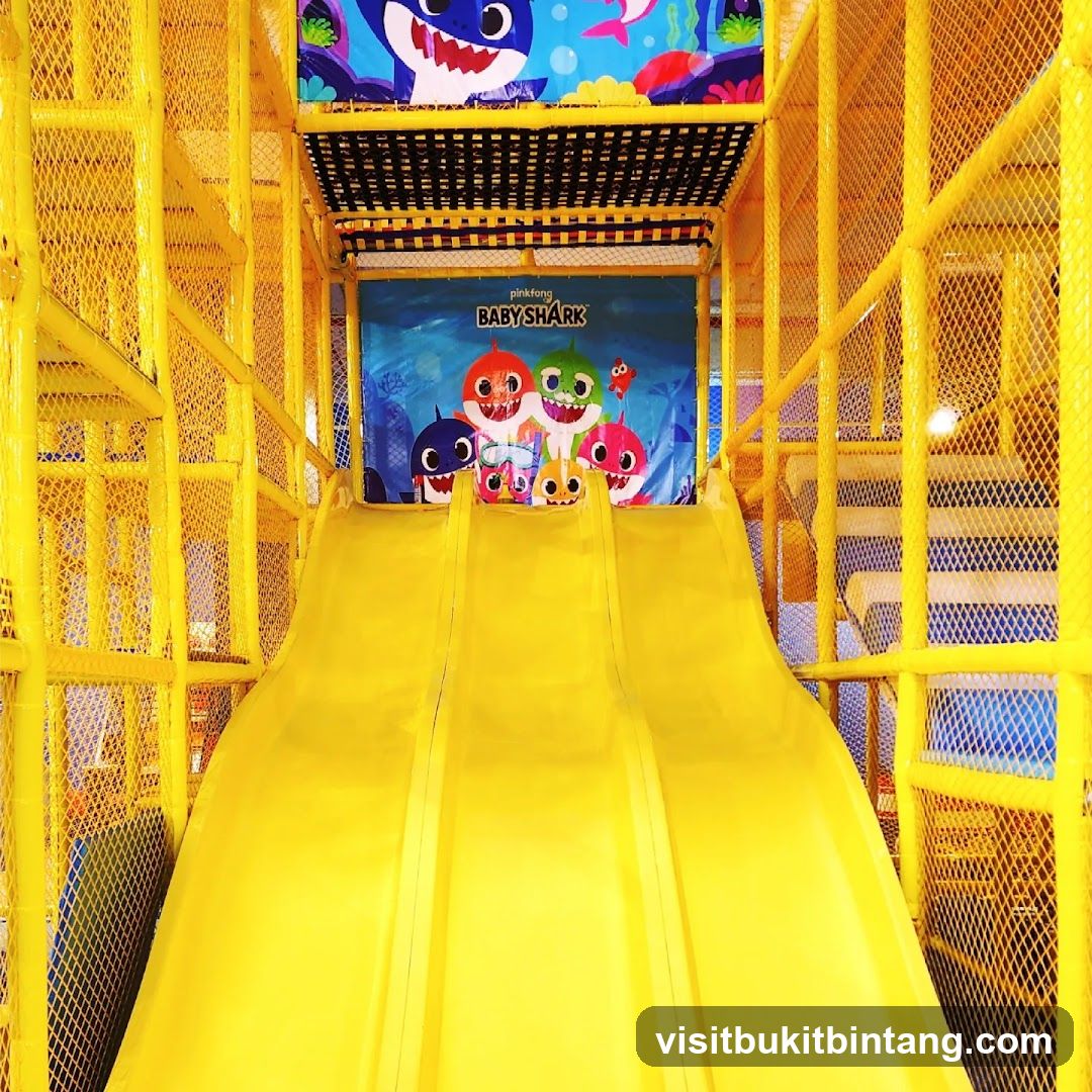 Baby Shark Themed Indoor Playground Slide