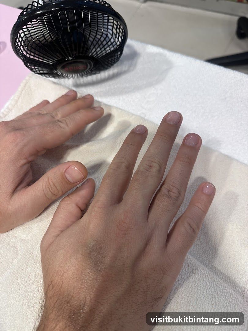 Manicured Hands with Fan