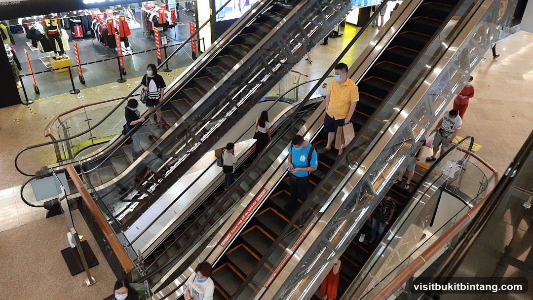 People on Escalators in a Mall