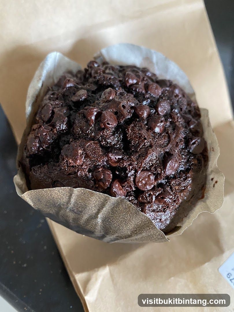 Chocolate Chip Muffin