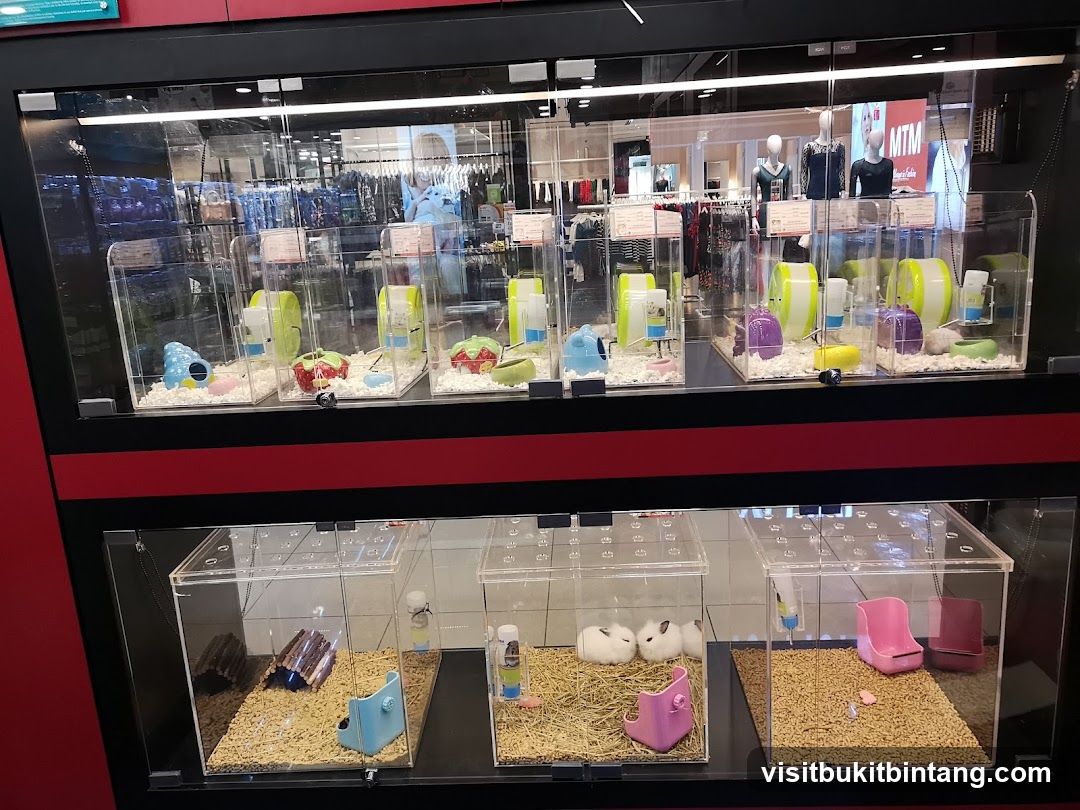 Pet Habitat Displays