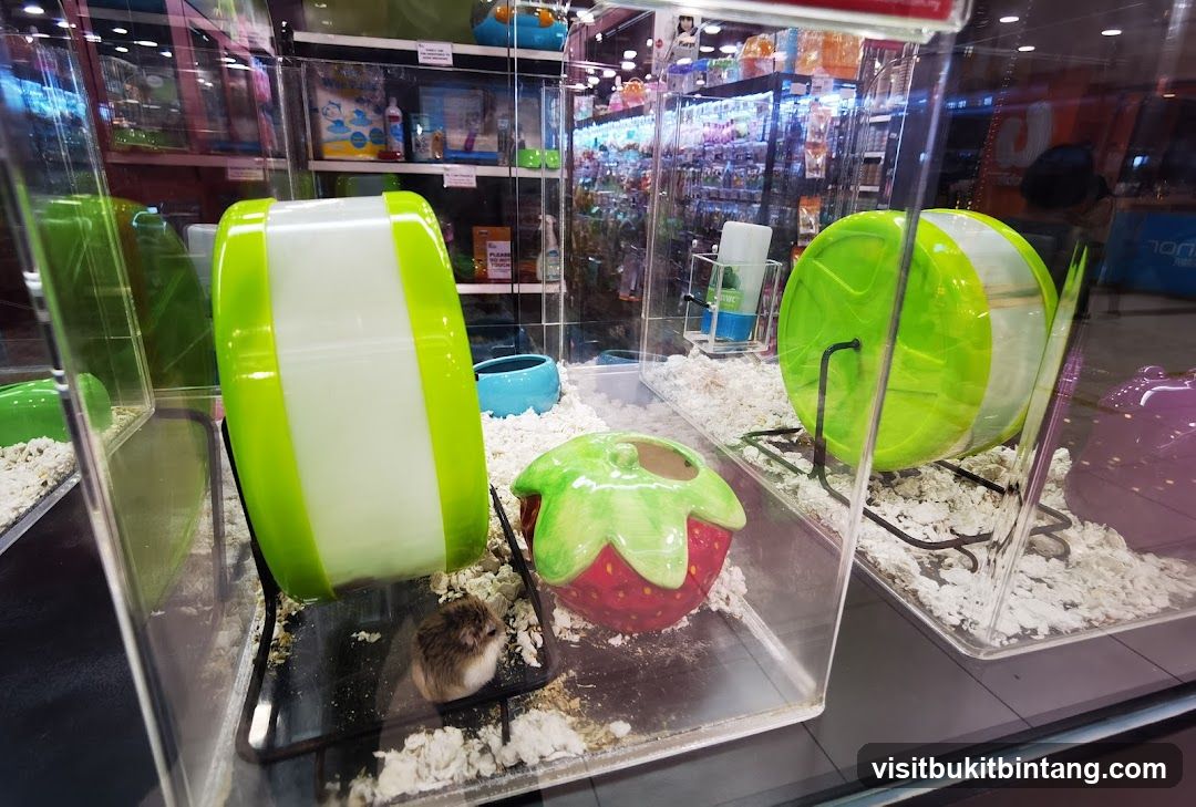Pet Store Display