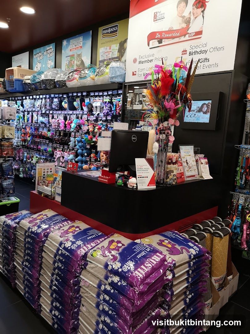 Pet Store Interior
