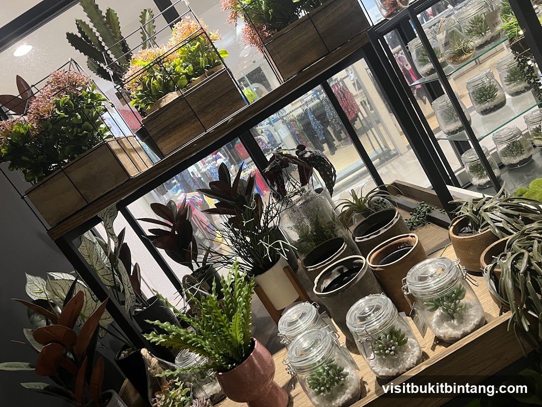 Assortment of artificial plants and decorative jars