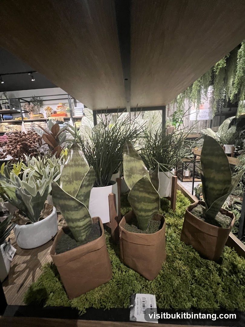 Artificial Plants Display